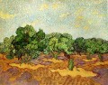 Olive Grove Pale Blue Sky Vincent van Gogh